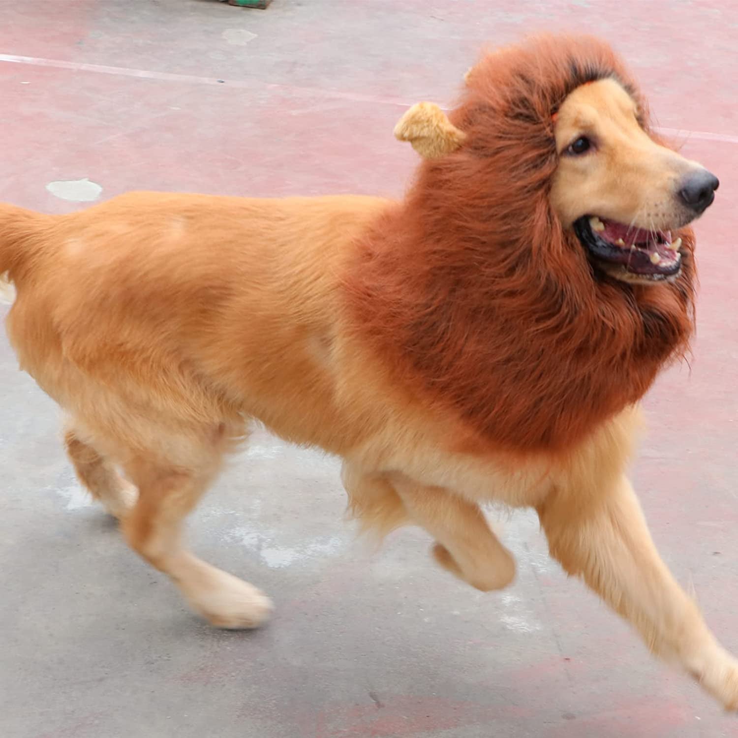 Realistic Lion Mane Wig for Medium to Large Dogs - Halloween Costume Accessory (Dark Brown)