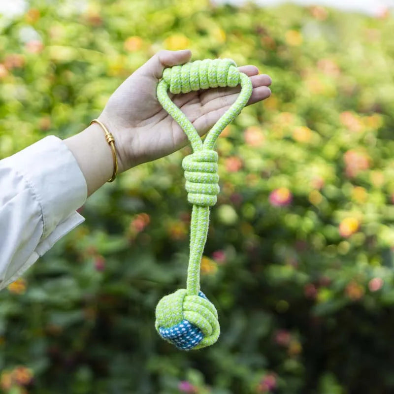 Durable Interactive Chewing Toy for Puppies - Joint Toy for Engaging Playtime and Dental Health GWJ08