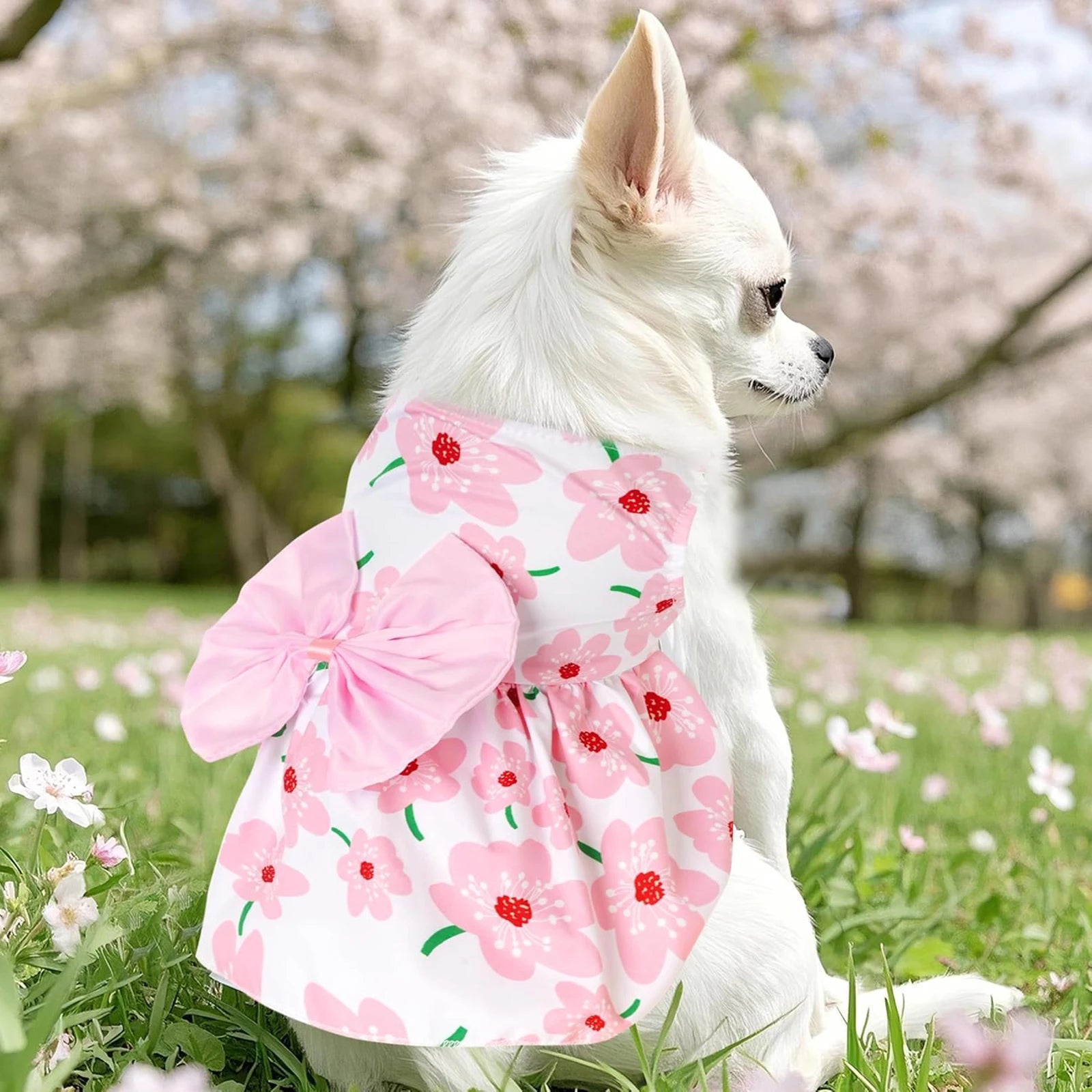 Elegant Floral Bow Pet Costume - Festival Attire for Dogs and Cats