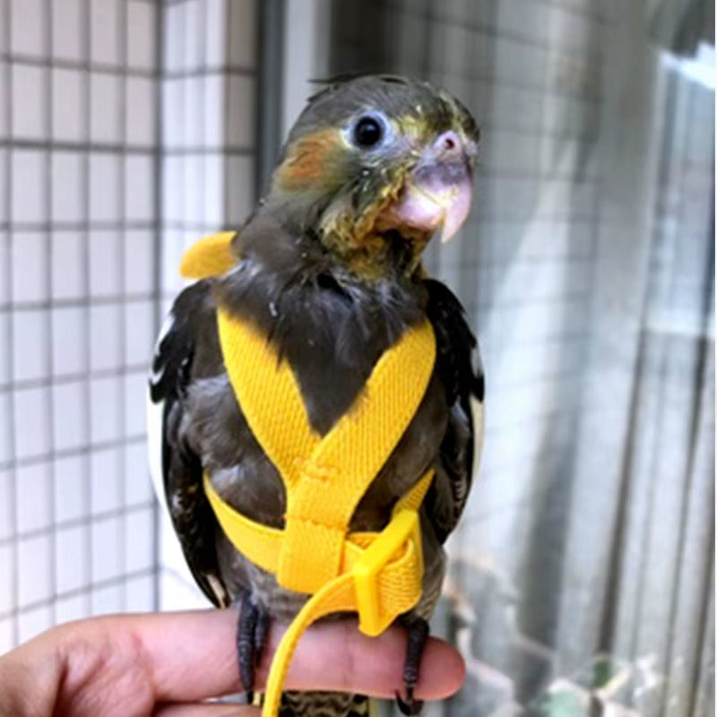 Parrot Flight Harness and Leash for Outdoor Training - Ideal for Cockatiels, Macaws, and Budgerigars