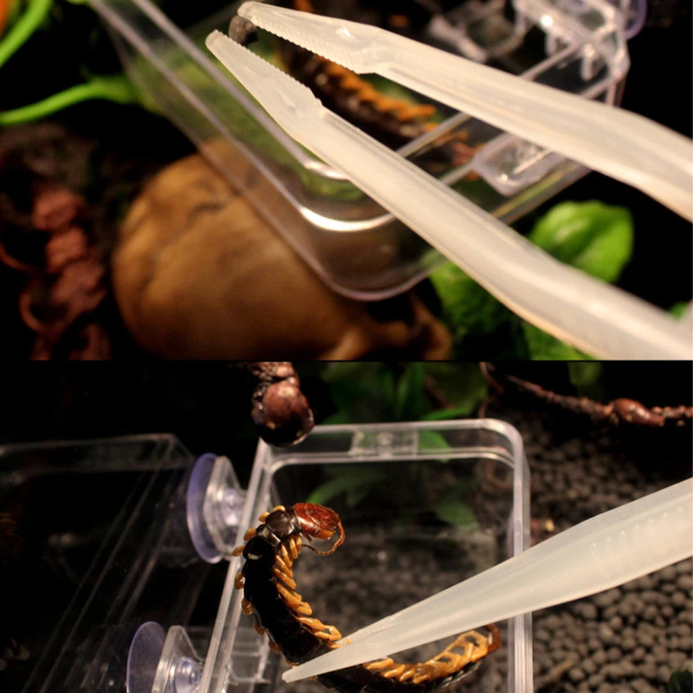 Noctilucent Tweezers for Reptile Care - Durable, Rust-Resistant Feeding and Cleaning Tools for Lizards, Geckos, Turtles, Snakes, and Spiders
