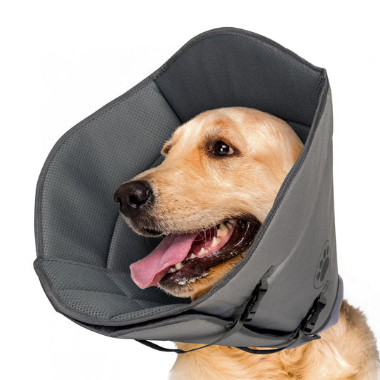 Dog Cone For After Surgery