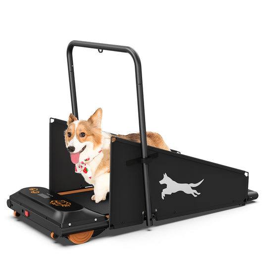 Dog Treadmill For Healthy & Fit Pets