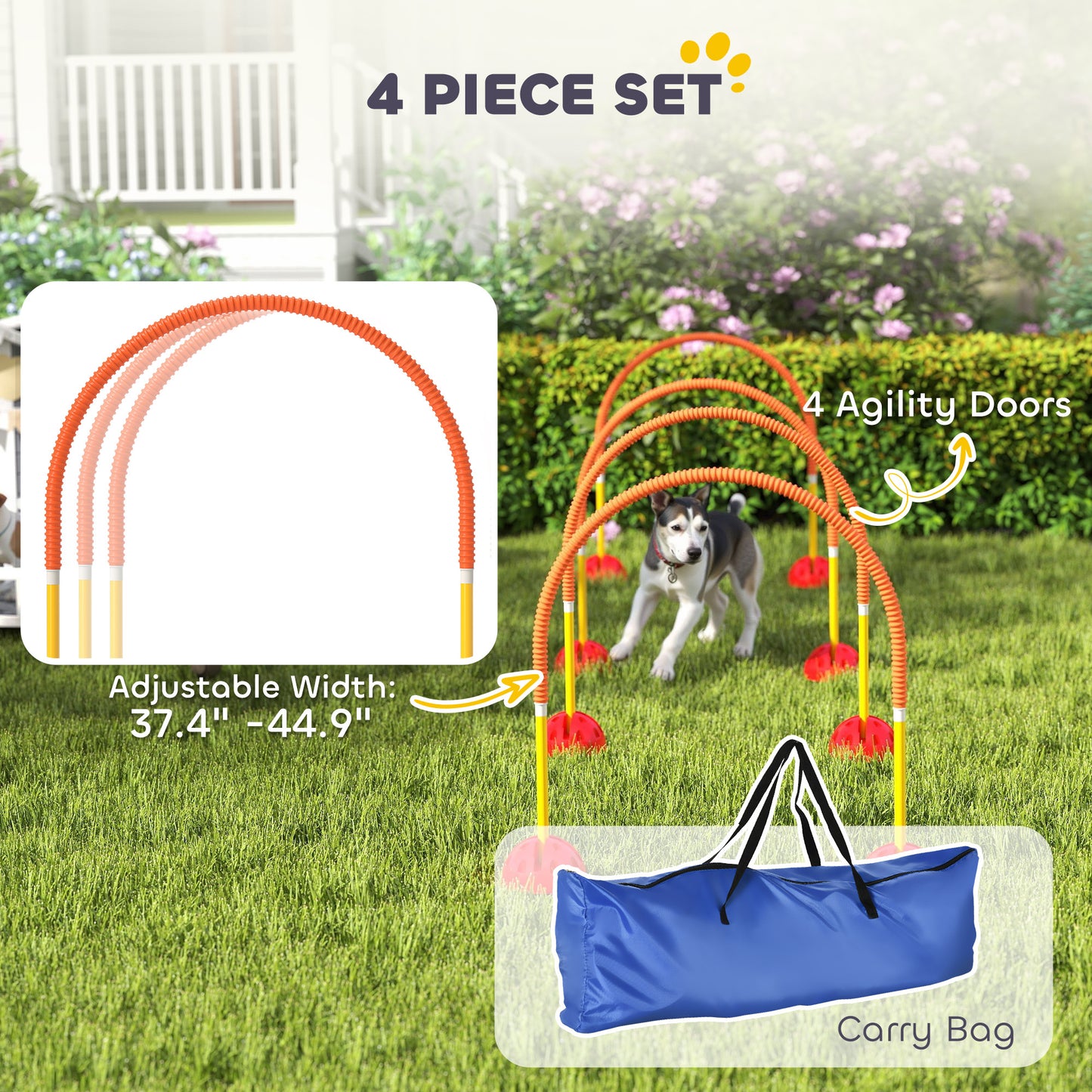 Dog Agility Equipment