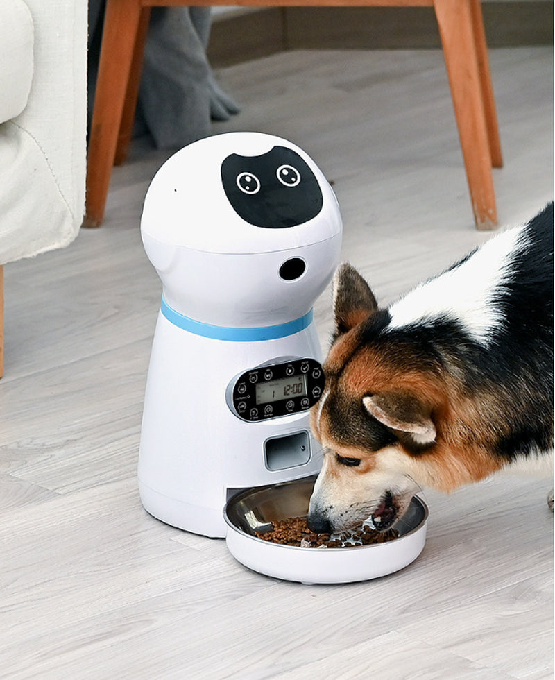 Automated Pet Feeding System