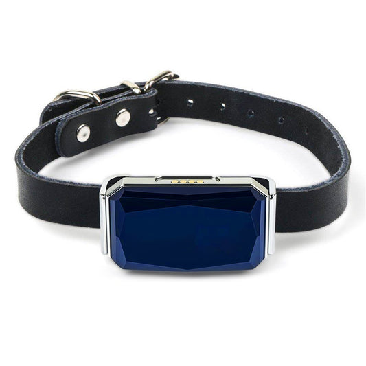 Advanced GPS Tracking System