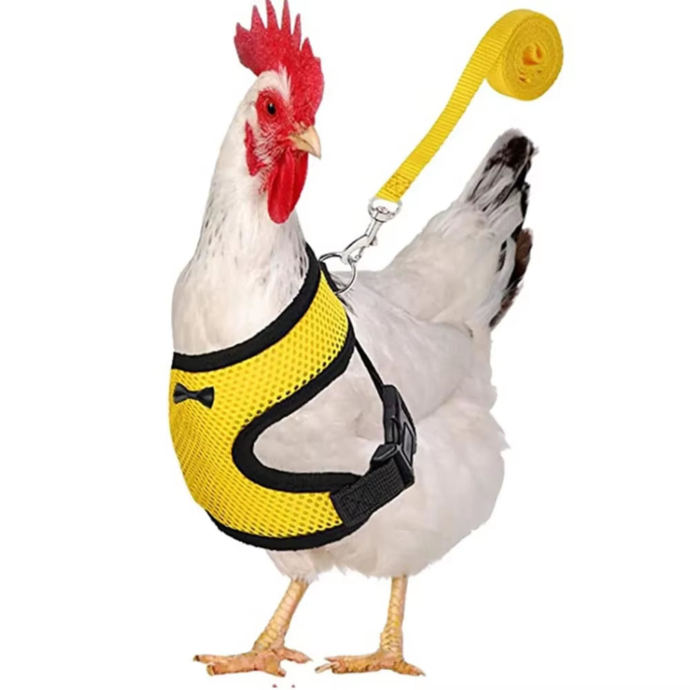 Premium Poultry Harness and Collar Set with Comfortable Leashes and Breathable Design for Chickens and Ducks