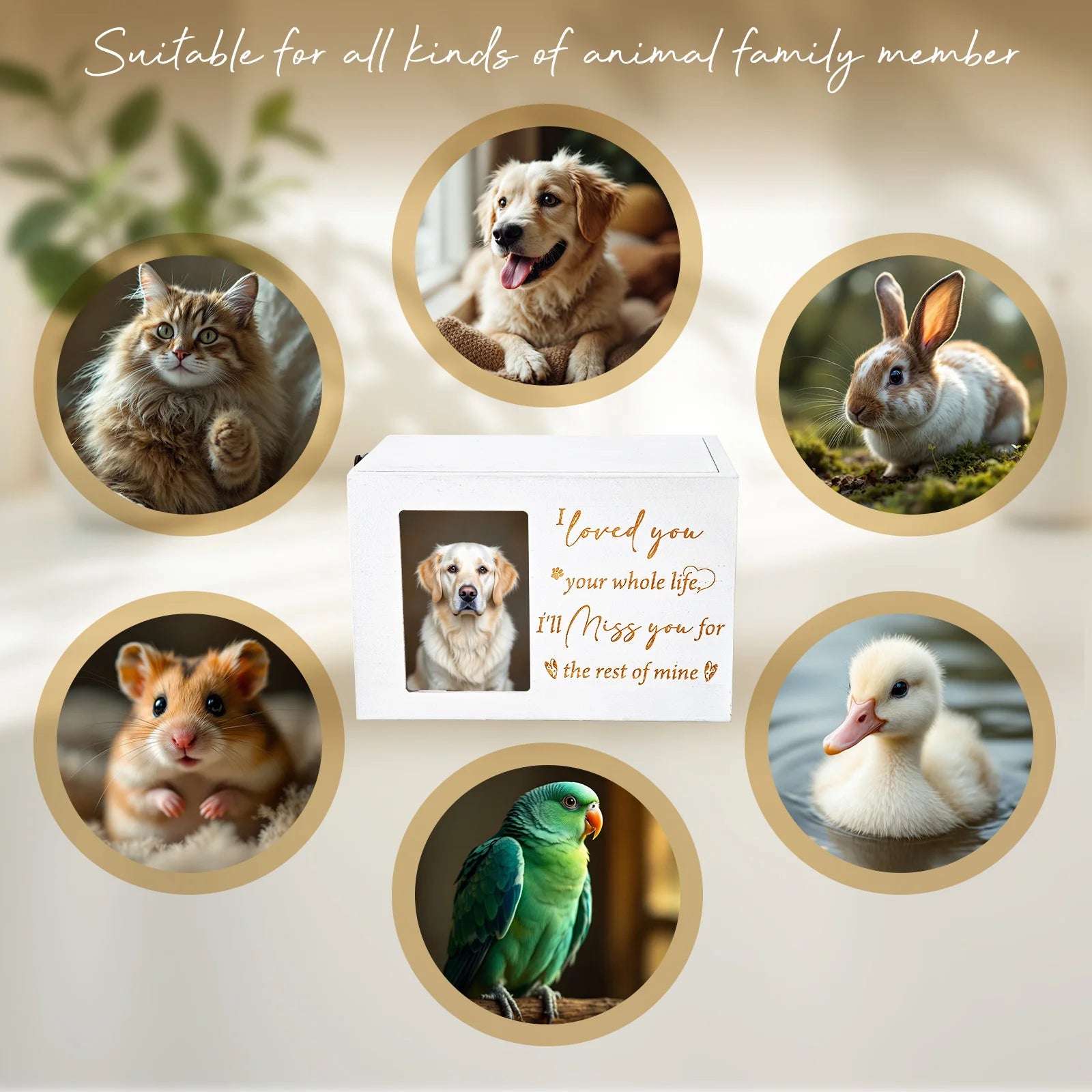 7-Inch Wooden Pet Memorial Urn with Photo Frame, Key, and Lock - Memorial Gifts for Beloved Dogs