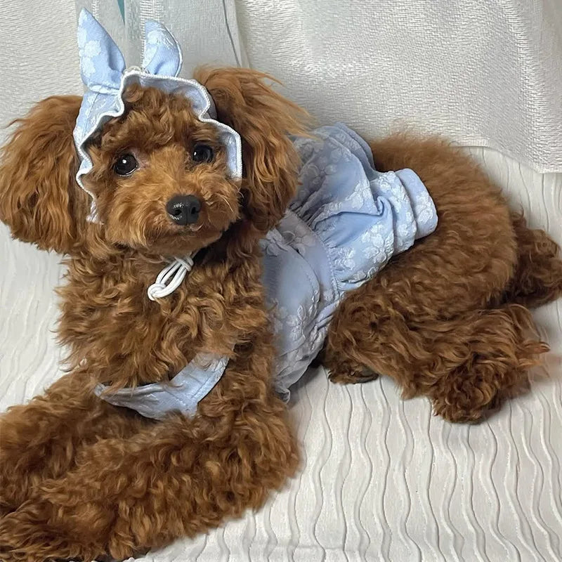 Embroidered Cat Princess Jumpsuit with Hat for Small Dogs and Teddy Bears - Spring and Summer Collection
