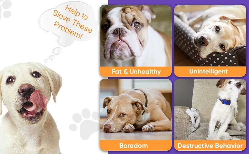 Automatic Rolling Interactive Dog Toy