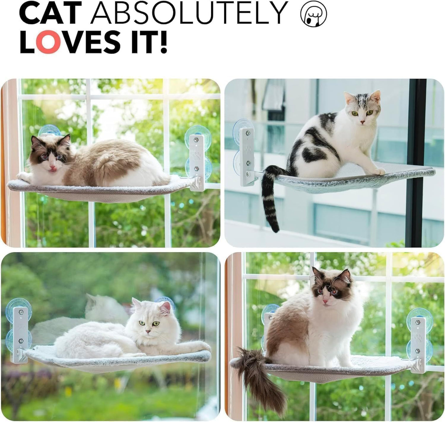 Large Cat Window Perch