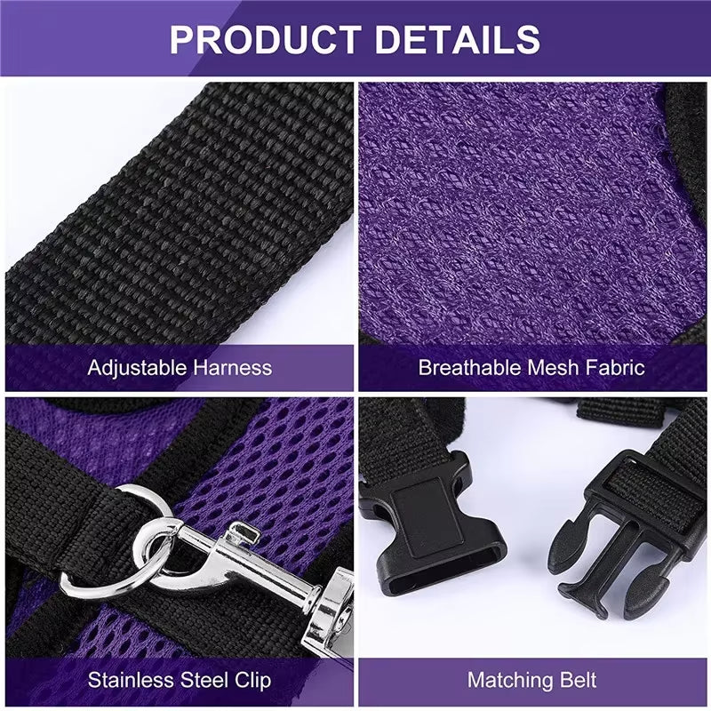 Premium Poultry Harness and Collar Set with Comfortable Leashes and Breathable Design for Chickens and Ducks
