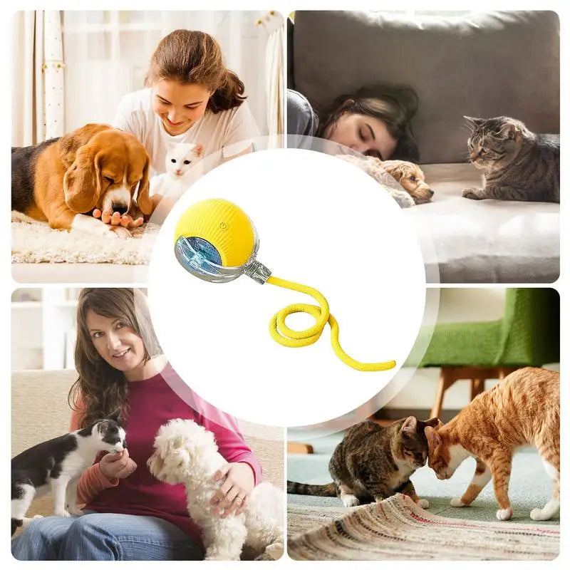 Automatic Rolling Ball Interactive Cat Toy with Rechargeable Tail and Intelligent Mouse Features