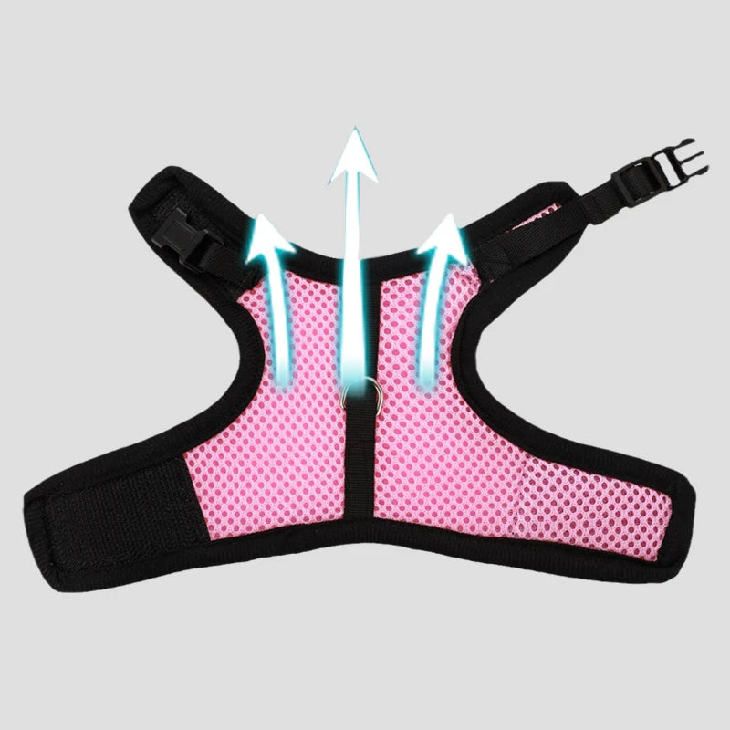 Breathable Mesh Harness and Leash Set for Small Pets - Suitable for Ferrets, Rabbits, and Hamsters - Summer Walking Accessories