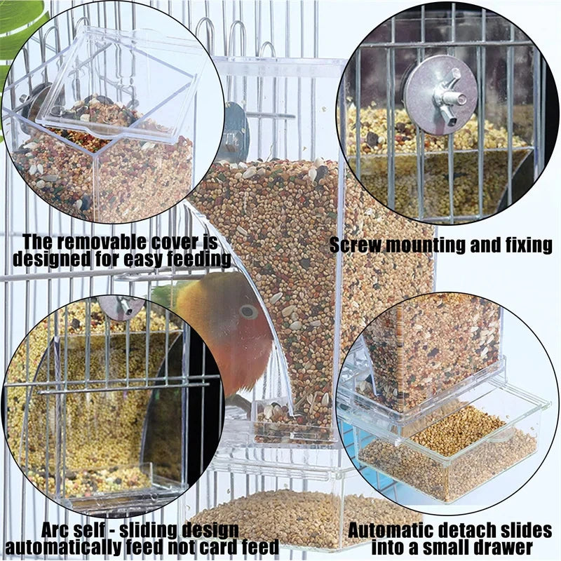 Automatic Splash-Proof Parrot Bird Feeder with Spill-Resistant Design - Tiger Peony Phoenix Bird Supplies