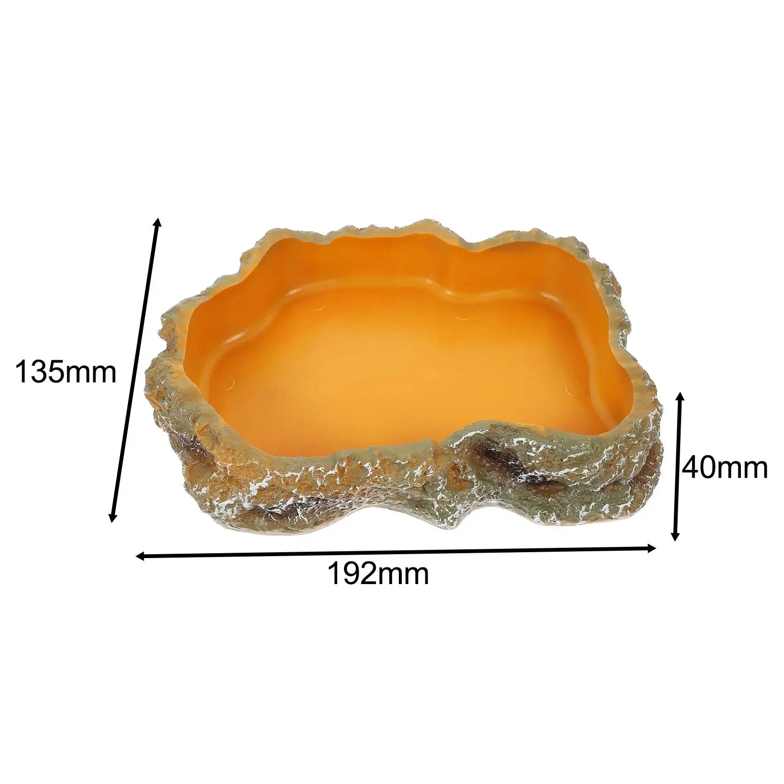 Premium Reptile Water and Feeding Bowl for Terrariums - Ideal for Frogs, Chameleons, Tortoises, Bearded Dragons, and Turtles