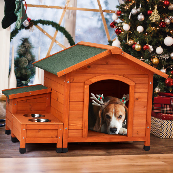 Green Asphalt Roof Golden Red Main Body Fir House Cat And Dog House