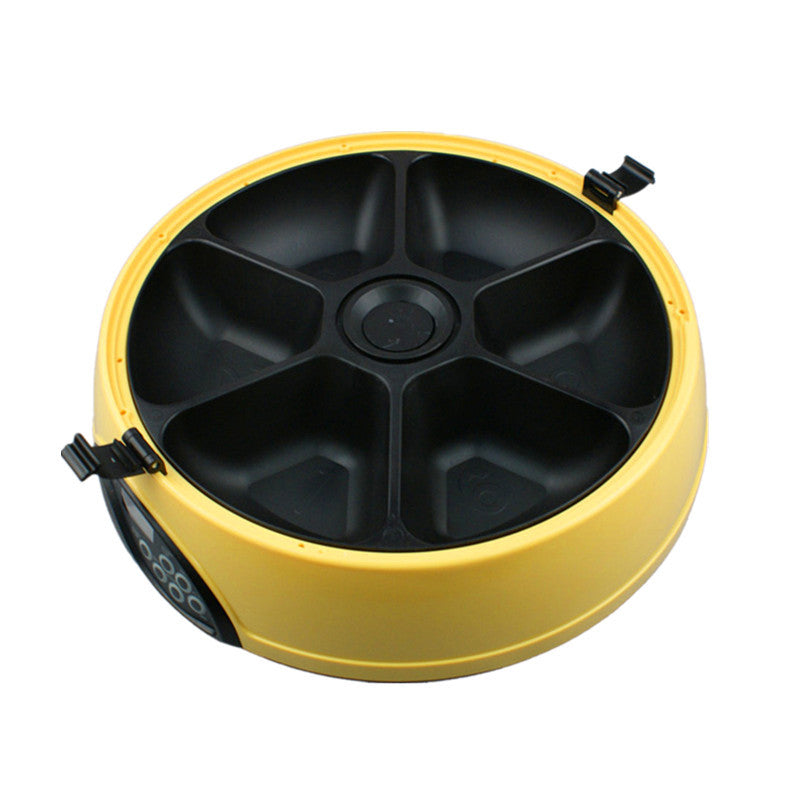 Automated Pet Feeding System