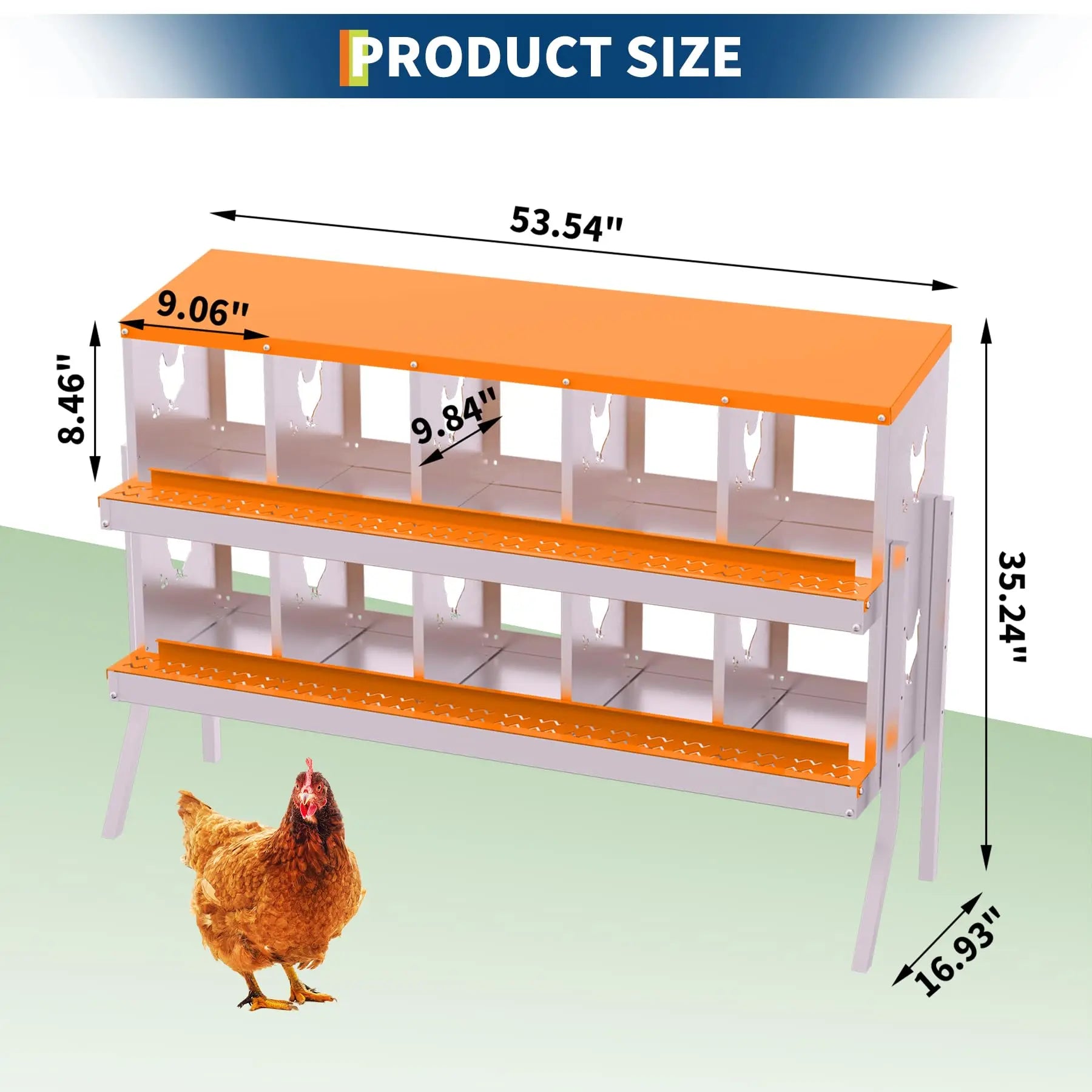 Metal Chicken Nesting Boxes with Roll-Away Functionality, Offered in 6, 8, or 10 Holes, Complete with Lid Cover for Enhanced Egg Protection