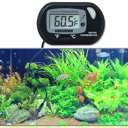 Digital Aquarium Thermometer with Suction Cup Probe for Precise Celsius Water Temperature Measurement