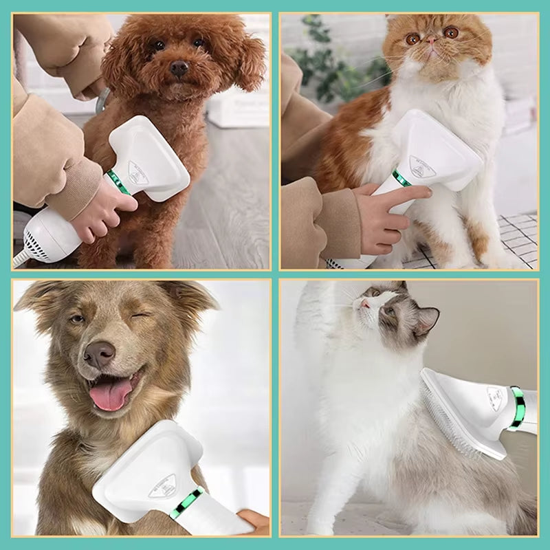 Professional 2-in-1 Pet Hair Dryer and Grooming Brush for Cats and Dogs - Portable Furry Drying Comb