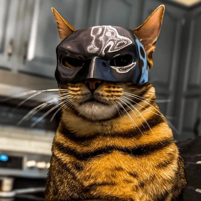 Halloween Black Bat Cat Avenger Mask - Cosplay Hat and Superhero Pet Accessory for Photos and Play