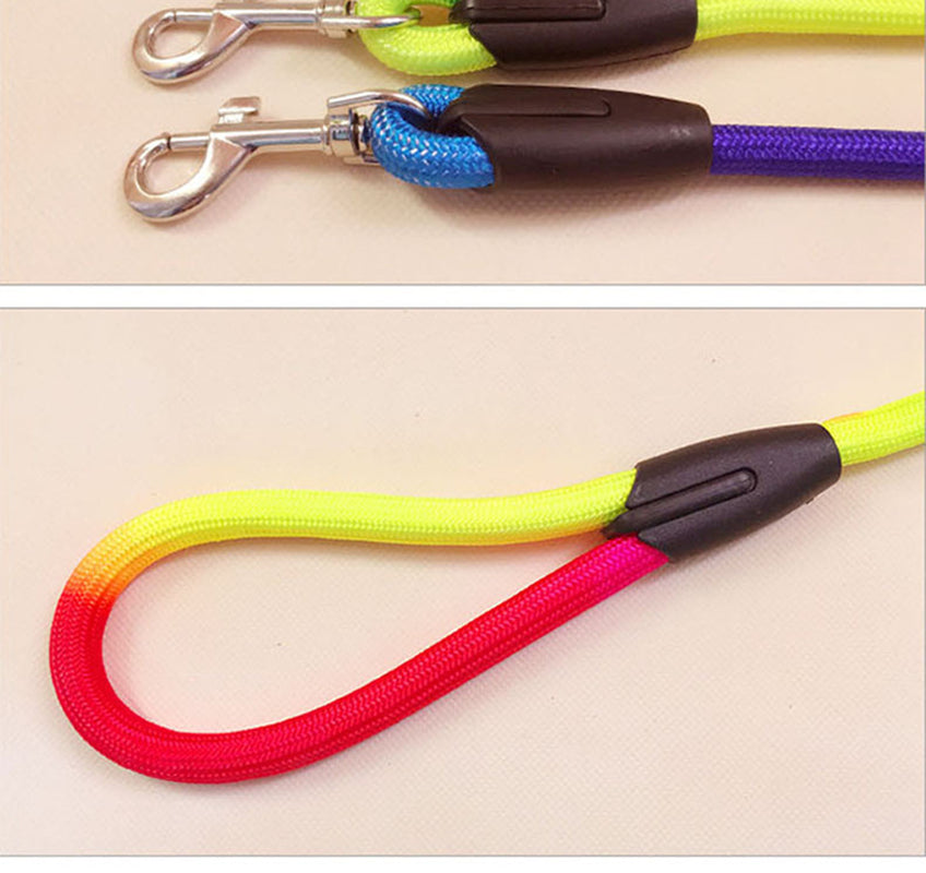 Vibrant Nylon Round Dog Leash for Pet Enthusiasts