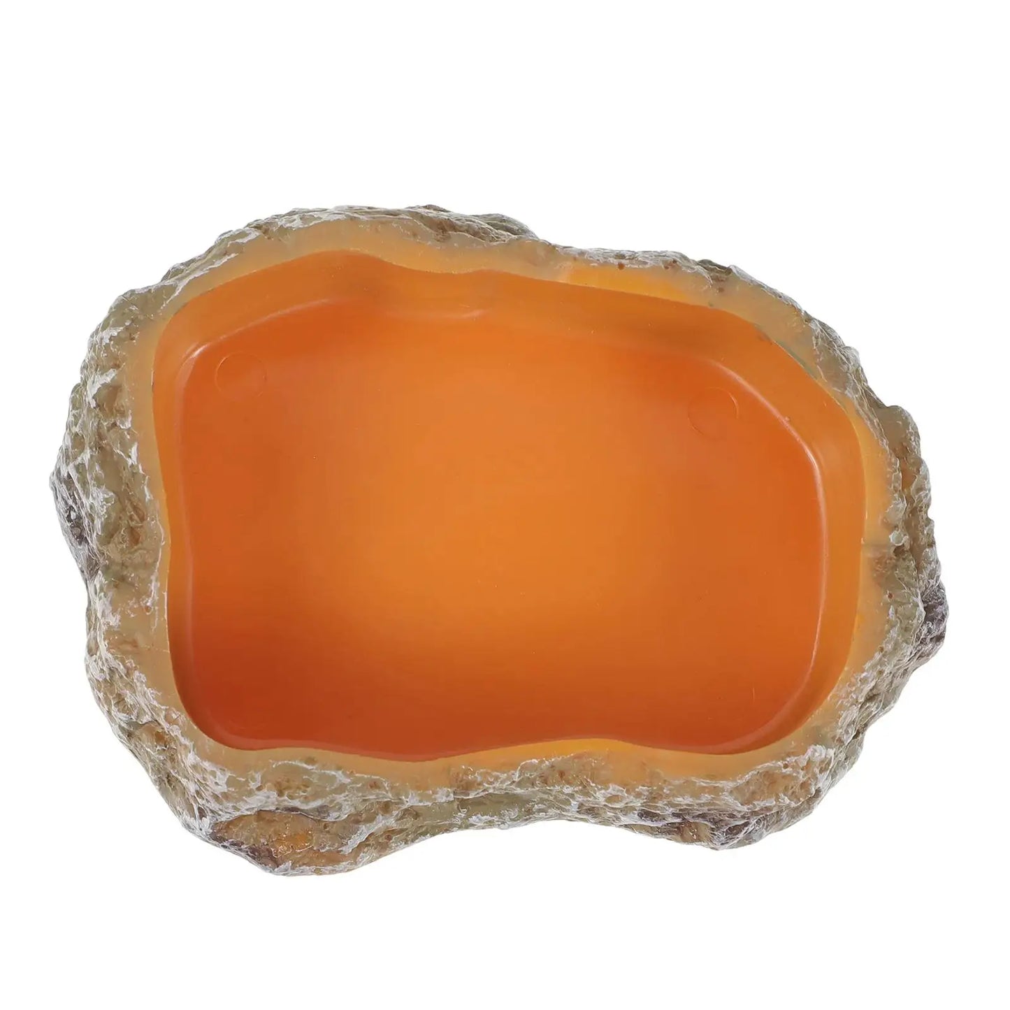 Premium Reptile Water and Feeding Bowl for Terrariums - Ideal for Frogs, Chameleons, Tortoises, Bearded Dragons, and Turtles