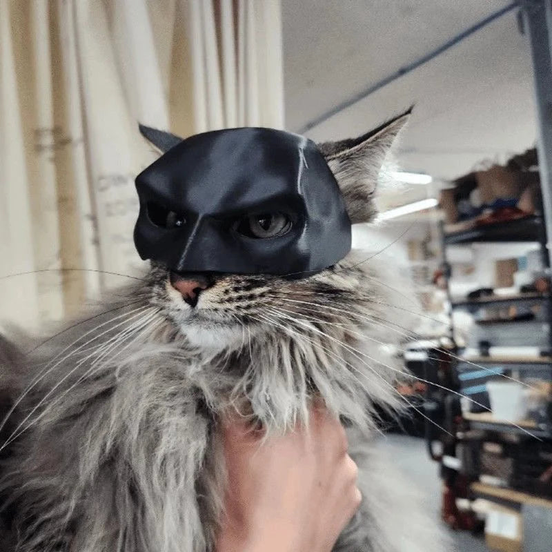 Halloween Black Bat Cat Avenger Mask - Cosplay Hat and Superhero Pet Accessory for Photos and Play