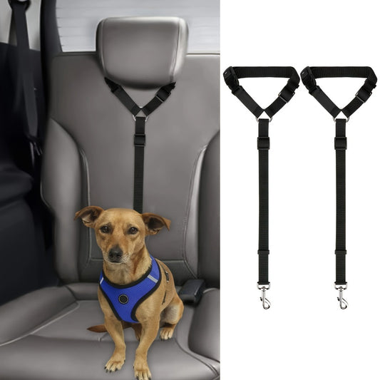 Two - Piece Dog Leash Set