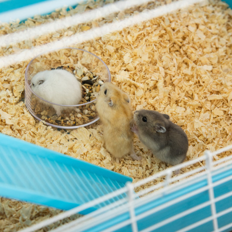 Oversized 23-Inch Hamster Cage with Tube and Tunnel, Featuring Portable Carrying Handle