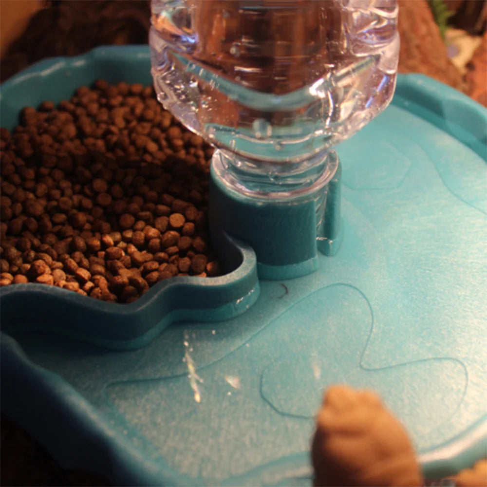 Reptile Feeding Bowl and Turtle Food Dish - Removable and Easy-to-Clean Small Pet Bowl for Reptiles and Amphibians