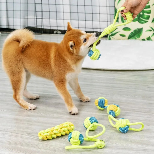 Durable Interactive Chewing Toy for Puppies - Joint Toy for Engaging Playtime and Dental Health GWJ08