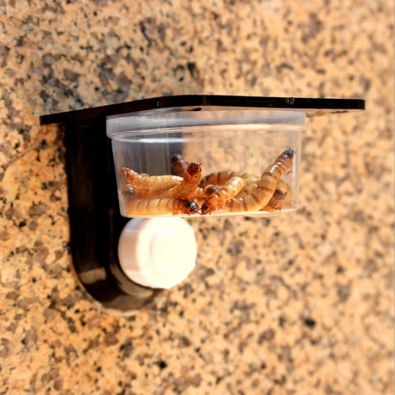 Reptile Terrarium Breeding Bowl - Ideal Feeding and Water Container for Spiders, Ants, Geckos, and Snakes