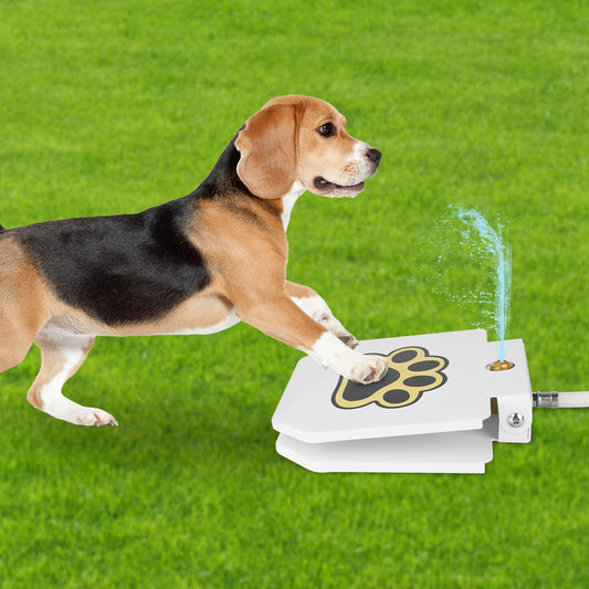Outdoor Dog Water Fountain - Step-Activated Pet Water Dispenser with Interactive Paw Pedal Valve