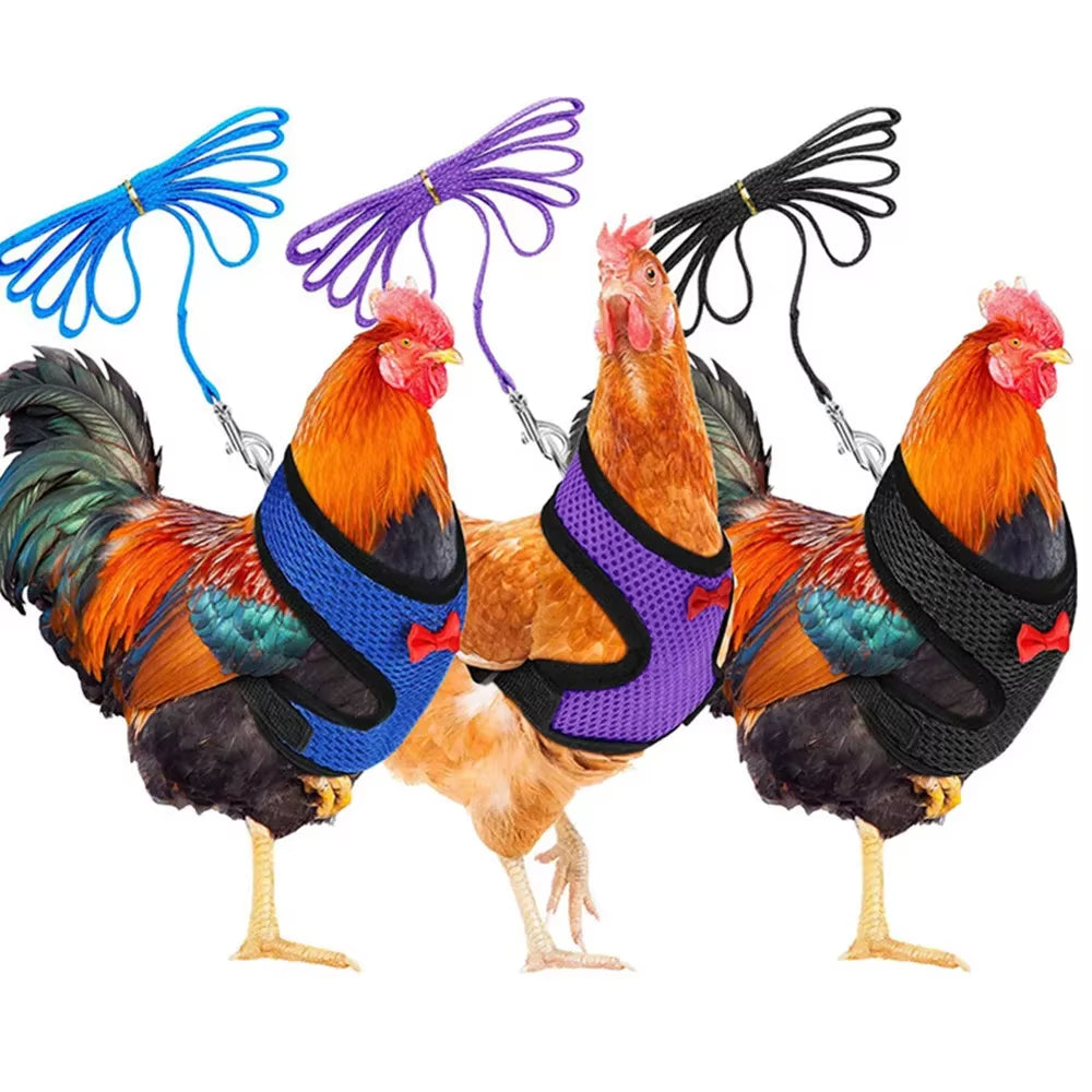Premium Poultry Harness and Collar Set with Comfortable Leashes and Breathable Design for Chickens and Ducks