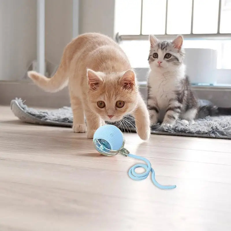 Automatic Rolling Ball Interactive Cat Toy with Rechargeable Tail and Intelligent Mouse Features