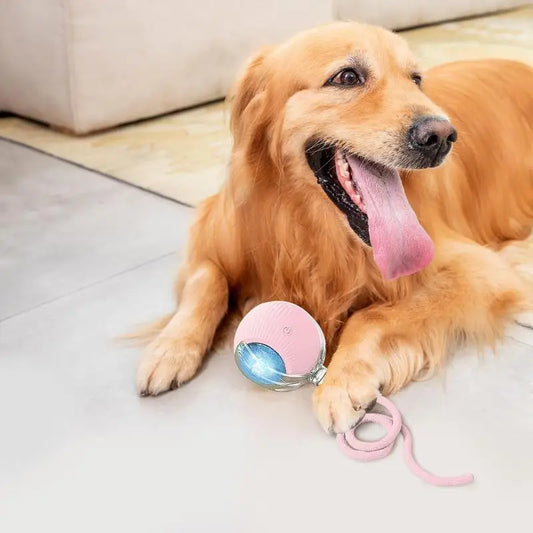 Automatic Rolling Ball Interactive Cat Toy with Rechargeable Tail and Intelligent Mouse Features