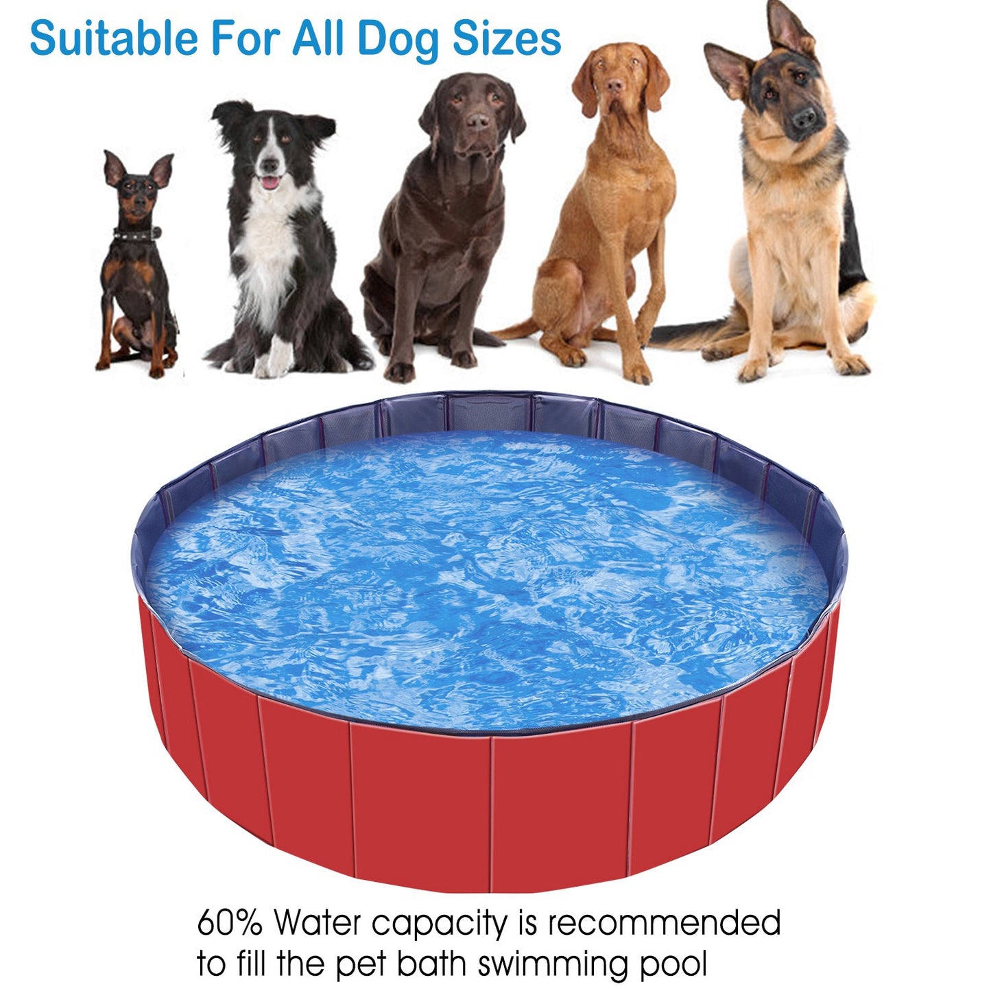 Foldable PVC Pet Swimming Pool - 160 x 160 x 30 cm (63.0 x 63.0 x 11.8 inches) for Dog Bathing and Playtime