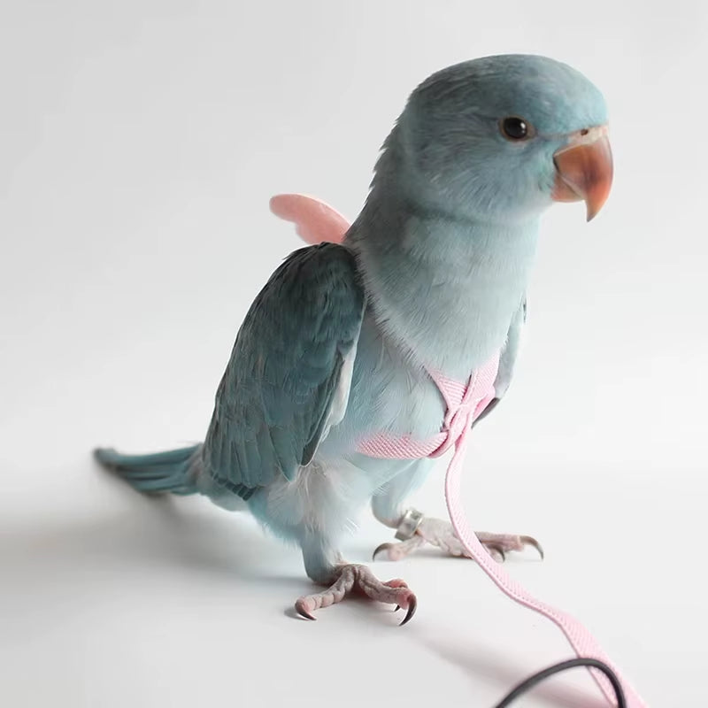 Parrot Flight Harness and Leash for Outdoor Training - Ideal for Cockatiels, Macaws, and Budgerigars