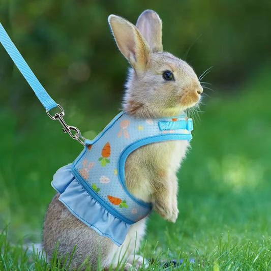 Adjustable Rabbit Harness and Leash - Breathable Mesh Vest with Skirt for Small Pets Including Bunnies and Guinea Pigs