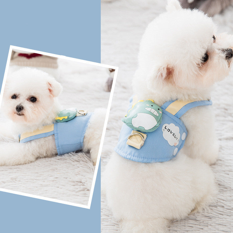 Elegant Dog Harness and Leash Ensemble