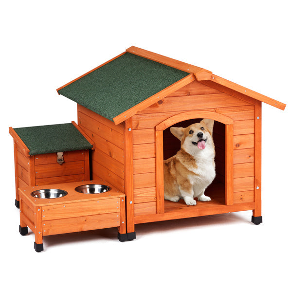 Green Asphalt Roof Golden Red Main Body Fir House Cat And Dog House