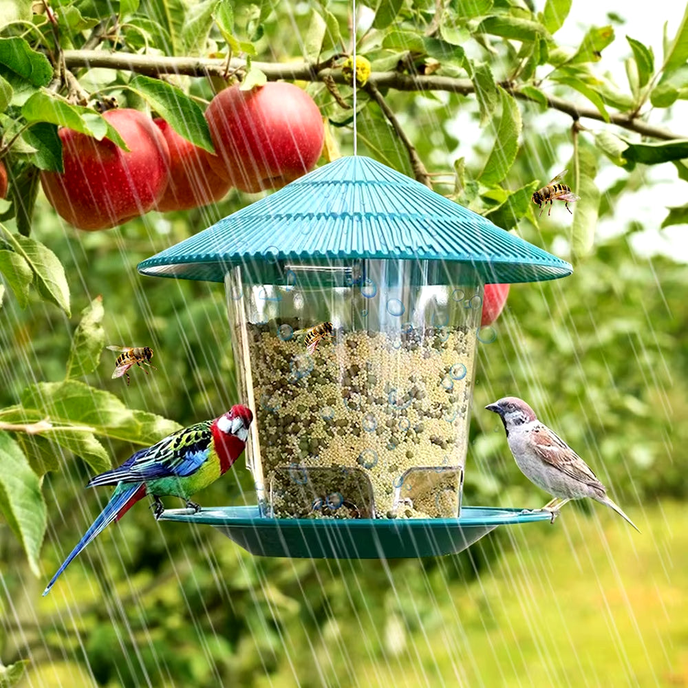 Automatic Outdoor Bird Feeder with Multi-Hole Dispenser and Hanging Nut Holder