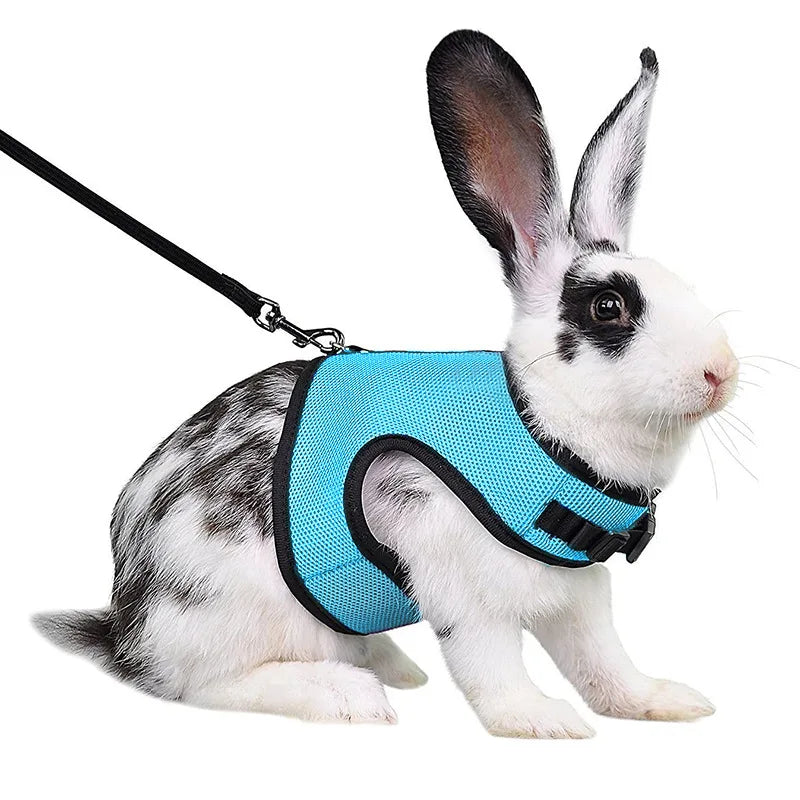 Breathable Mesh Harness and Leash Set for Small Pets - Suitable for Ferrets, Rabbits, and Hamsters - Summer Walking Accessories