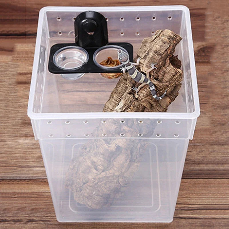 Reptile Terrarium Breeding Bowl - Ideal Feeding and Water Container for Spiders, Ants, Geckos, and Snakes