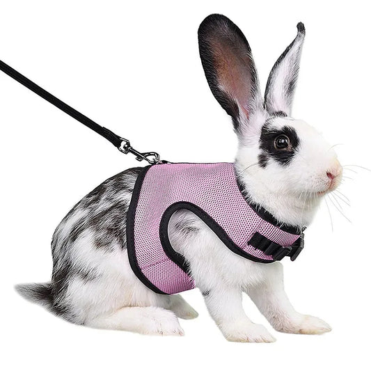 Breathable Mesh Harness and Leash Set for Small Pets - Suitable for Ferrets, Rabbits, and Hamsters - Summer Walking Accessories