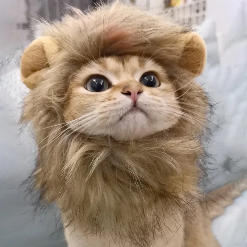 Cat Lion Mane Halloween Costume for Small Cats and Kittens - Ideal for Halloween, Cat Birthdays, and Cosplay Events
