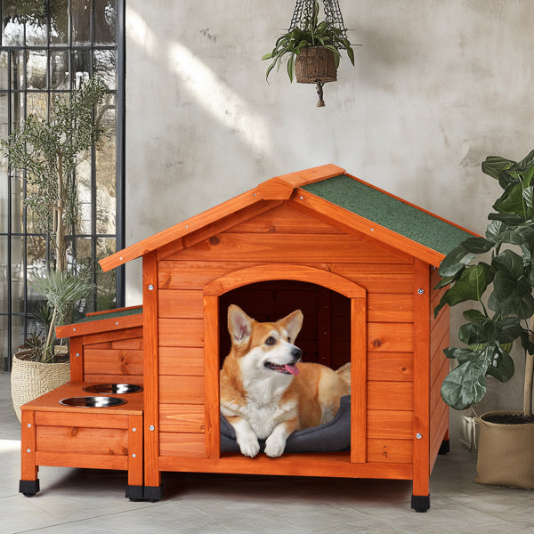 Green Asphalt Roof Golden Red Main Body Fir House Cat And Dog House