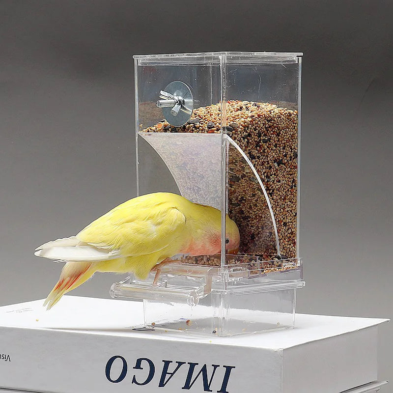 Automatic Splash-Proof Parrot Bird Feeder with Spill-Resistant Design - Tiger Peony Phoenix Bird Supplies
